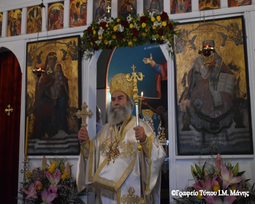 Ἡ ἀγριέλαιος καί ἡ καλλιέλαιος | Τοῦ Σεβ. Μητροπολίτου Μάνης κ. Χρυσοστόμου Γ'